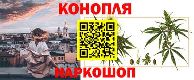 метадон Новодвинск